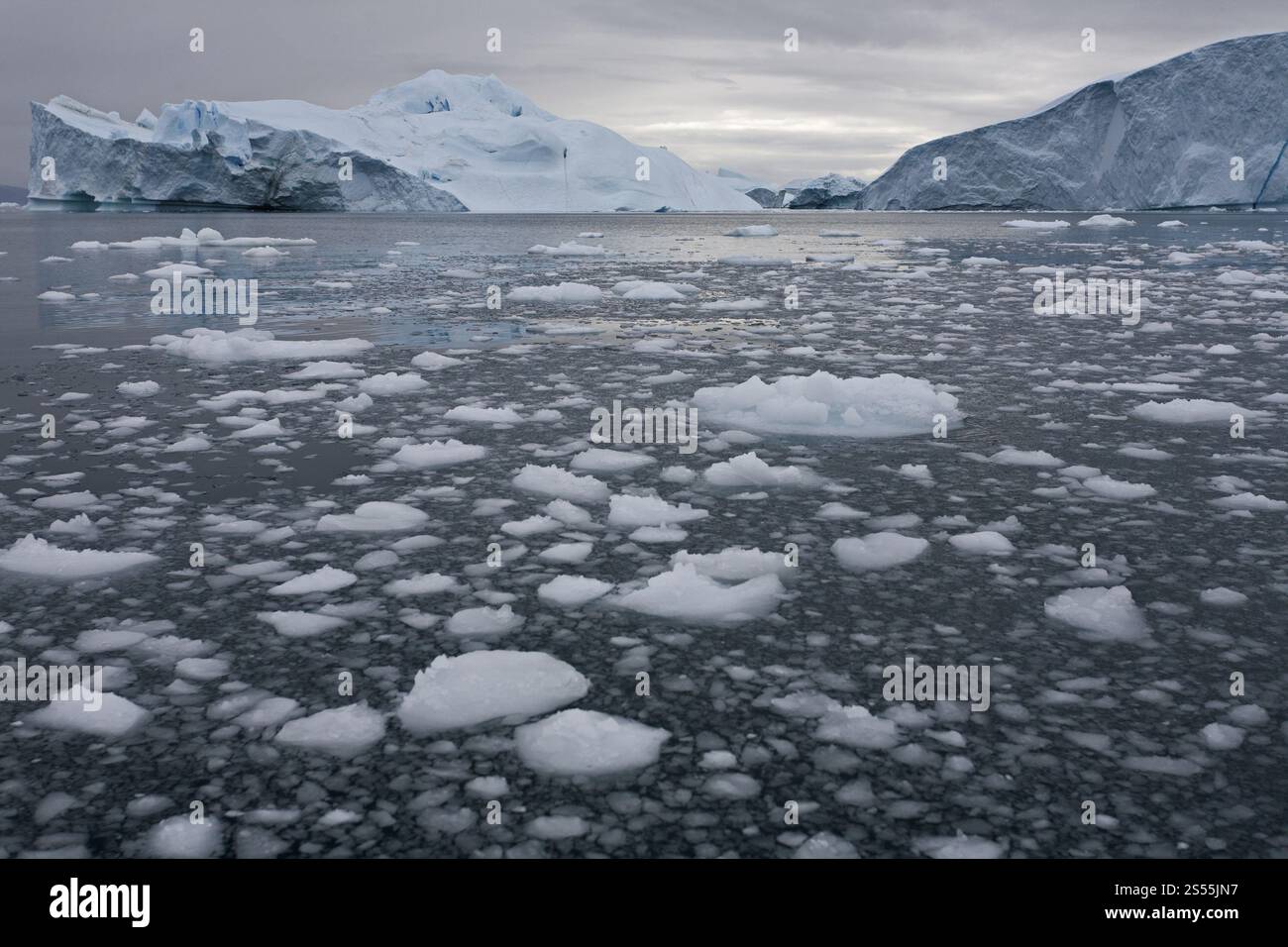 Drifteis in Diko Bay, Grönland, Nordamerika Stockfoto