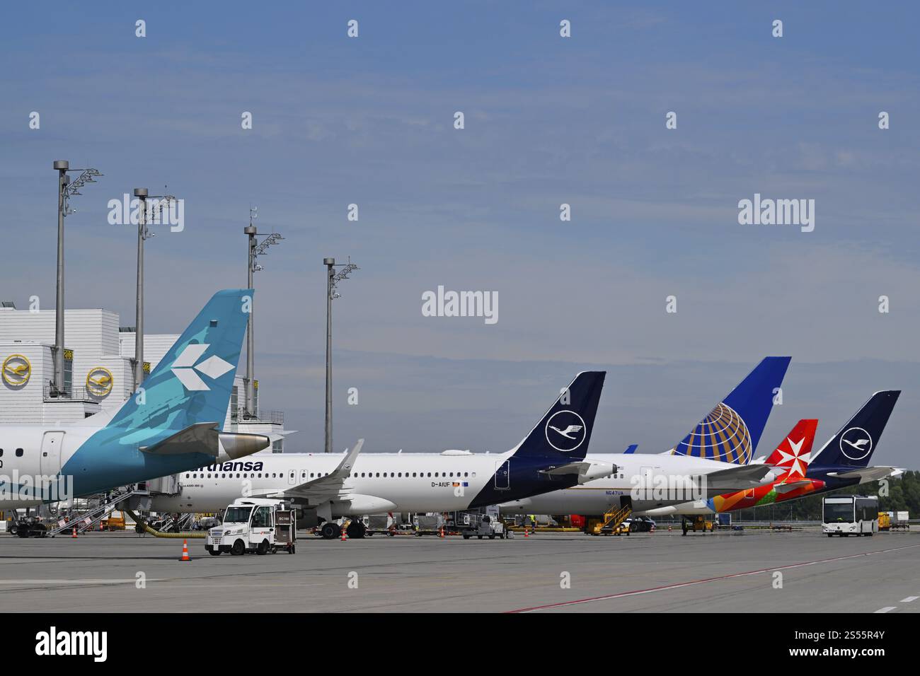 Verschiedene Lufthansa, Air Dolomiti, United Airlines, Air Malta, Flugzeuge am Check-in-Platz vor Terminal 2, Terminal 2, Flughafen München, Upper B Stockfoto