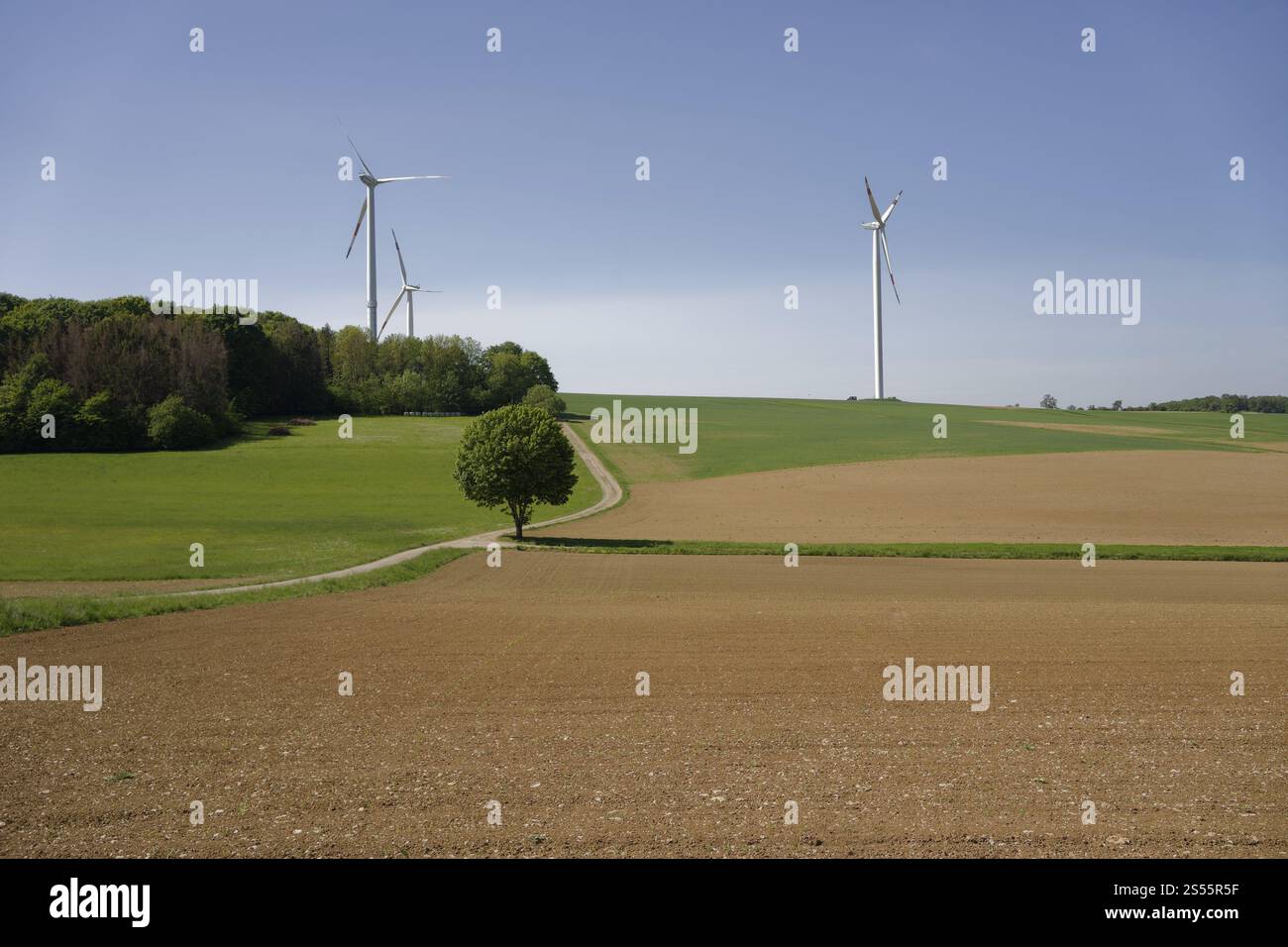 Windenergieanlagen im Sindelbachtal, Windenergie, Windkraftwerk, Energie, Krautheim, Hohenlohe, Deutschland, Europa Stockfoto