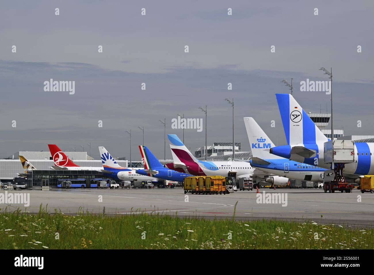 Verschiedene Flugzeuge verschiedener Fluggesellschaften Condor, KLM, Eurowings, ITA Airways, Sun Express, Turkish Airways, Etihad am Check-in-Schalter vor Te Stockfoto