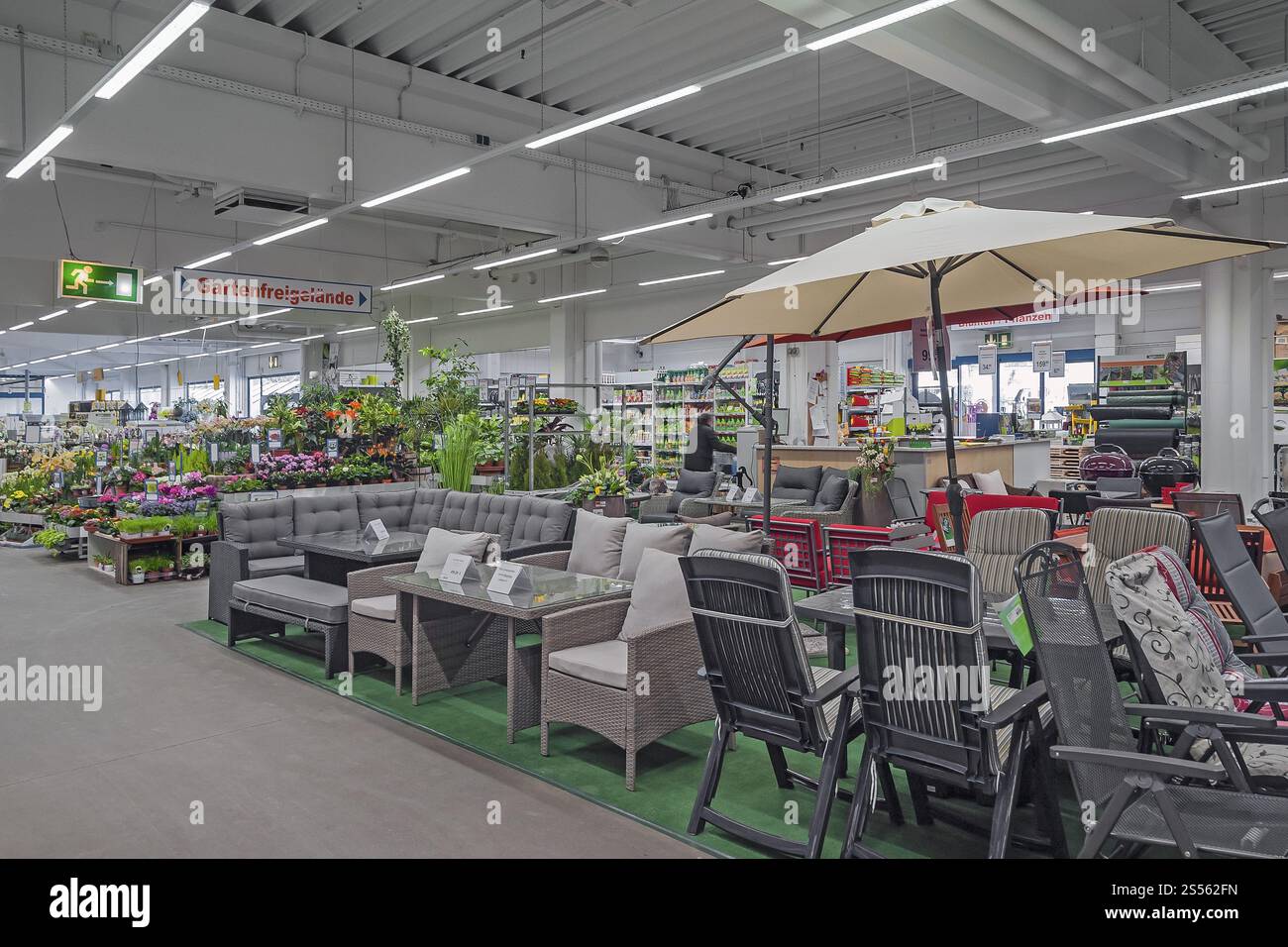 Gartenmöbel und -Pflanzen in einem Baumärkten, Bayern, Deutschland, Europa Stockfoto