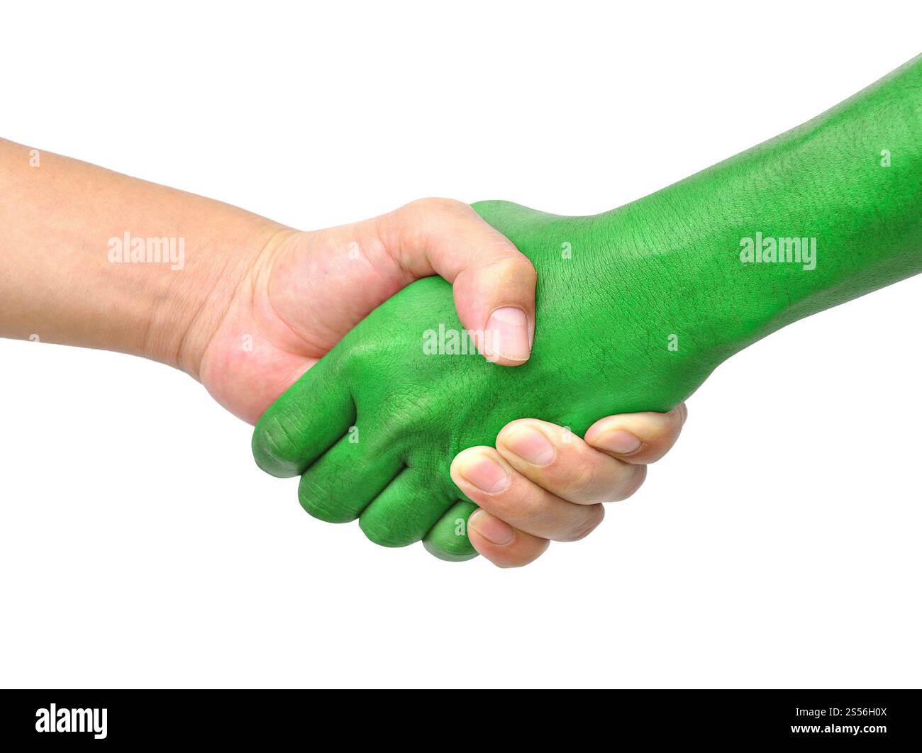 Schütteln Sie die Hände isoliert auf weißem Hintergrund. Schütteln Sie die Hände Stockfoto