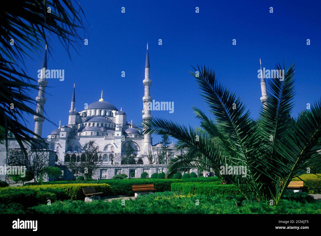 Die Sultan-Ahmed-Moschee oder Blaue Moschee in der Altstadt der Stadt Istanbul in der Türkei. Türkei, Istanbul, Mai 2002. TÜRKEI ISTANBUL BLAUE MOSCHEE Stockfoto