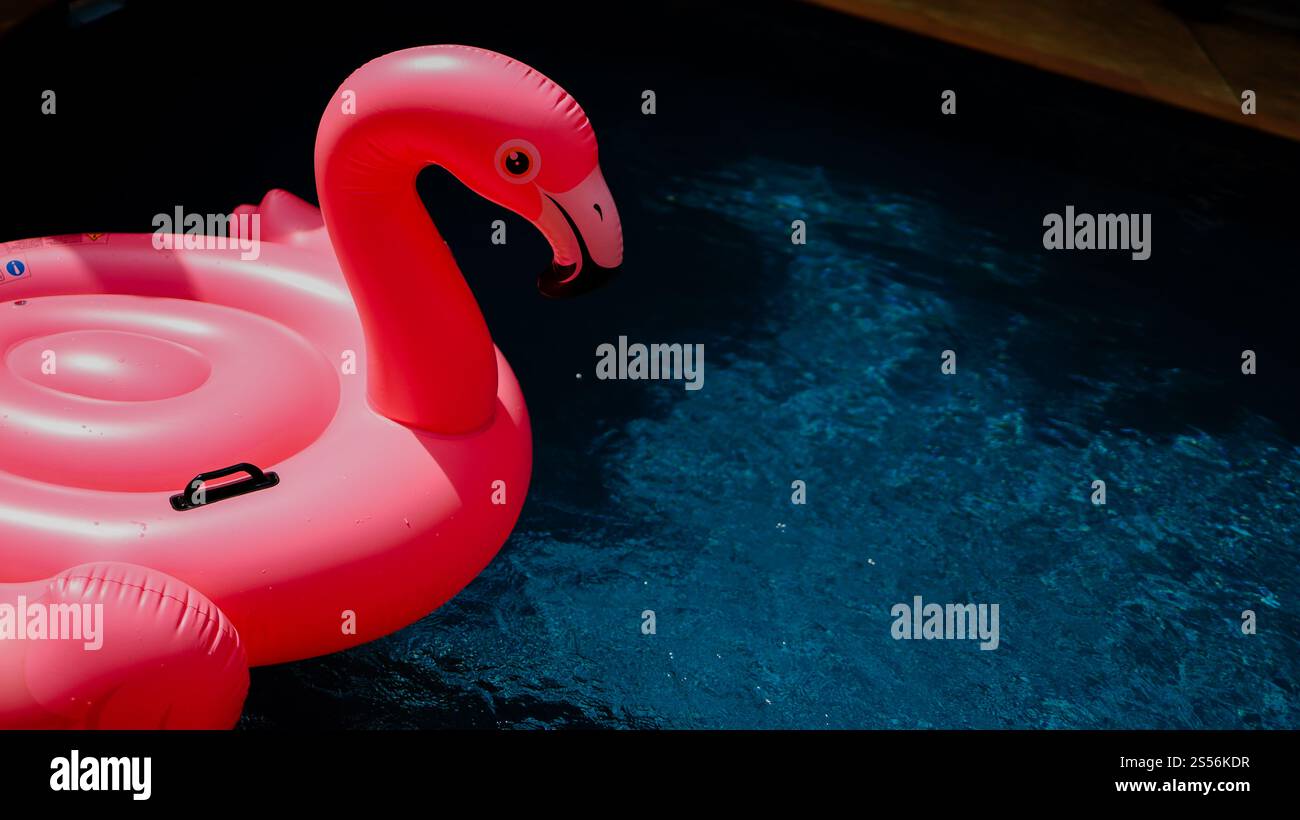 Sommerurlaub lustiger rosafarbener Flamingo schweben in einem Swimmingpool trendiges Flamingo auf einem blauen Sommerkonzept Stockfoto