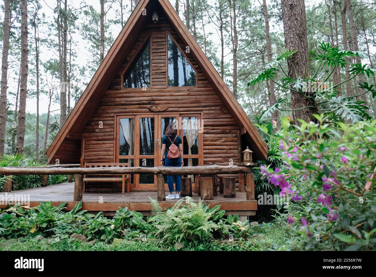 Eine Reisende Frau fotografiert im Natur-Pine Park. Tourist mit Kamera Reisefoto von Fotografen, der Bilder macht Reise Sightseeing Stockfoto
