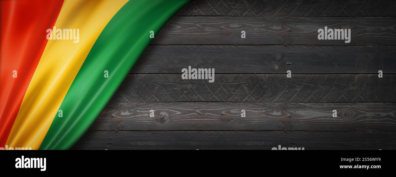 Guinea-Flagge an schwarzer Holzwand. Horizontales Panorama-Banner. Guineische Flagge auf schwarzem Holzbanner Stockfoto