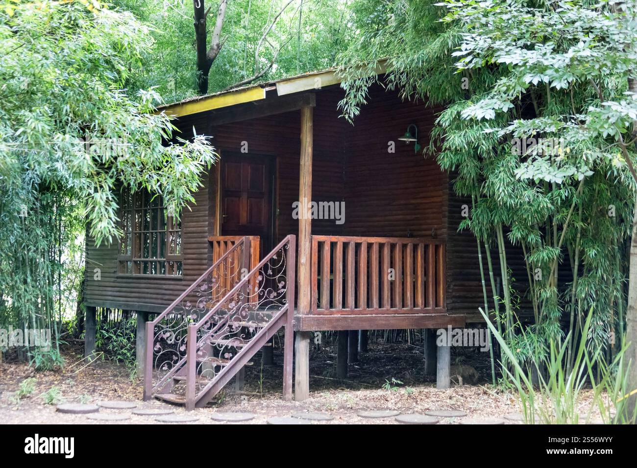 Holzhütte im Wald, tropischer Wald mit grünem, üppigem Laub Stockfoto