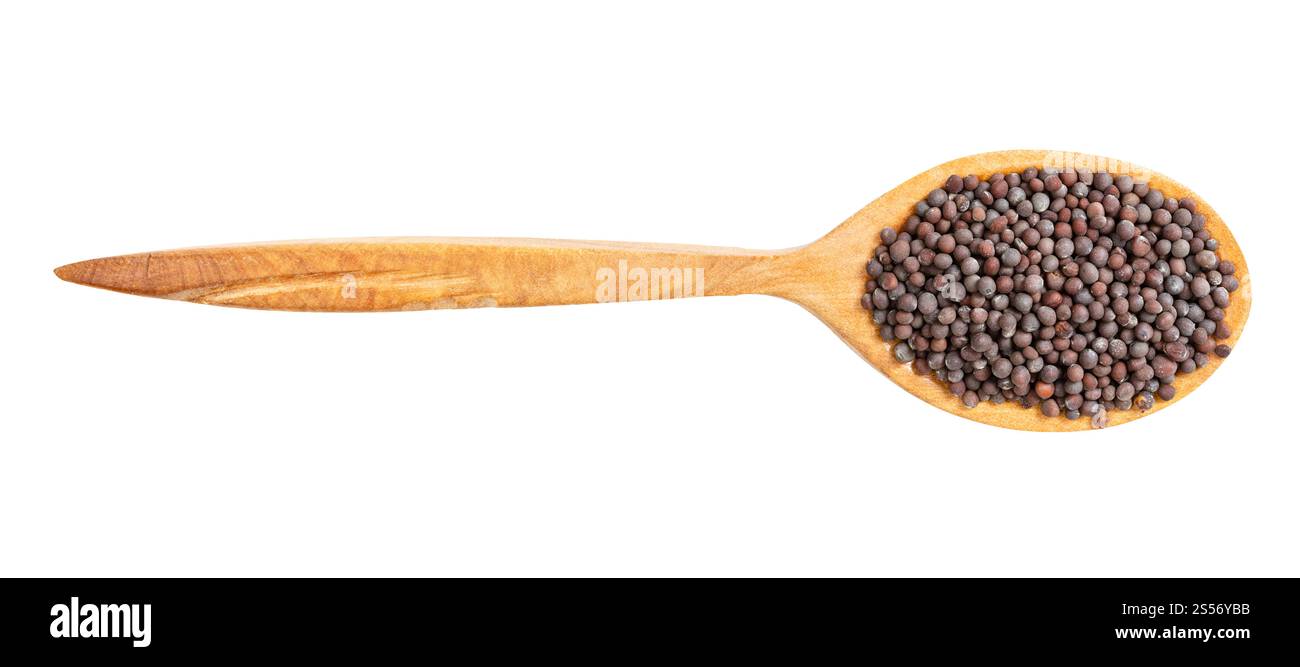 Draufsicht auf Holzlöffel mit schwarzen Senfkörnern isoliert Auf weißem Hintergrund Stockfoto