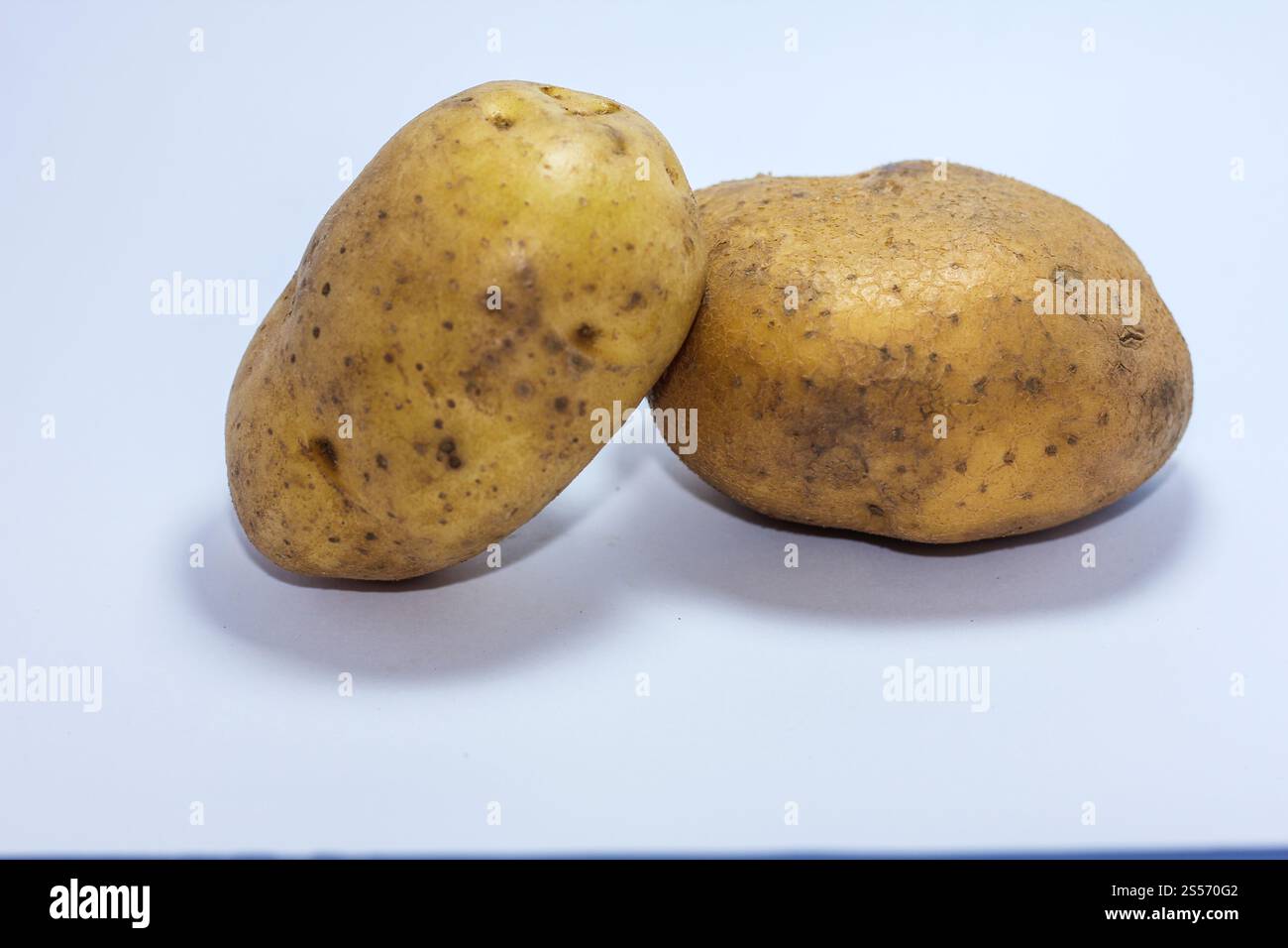 Die Kartoffeln isoliert auf weißem Hintergrund Stockfoto