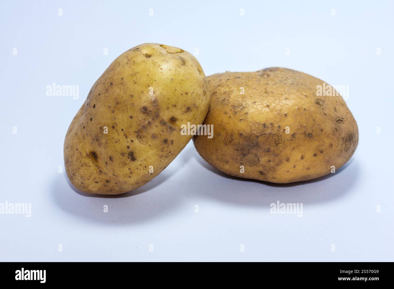 Die Kartoffeln isoliert auf weißem Hintergrund Stockfoto