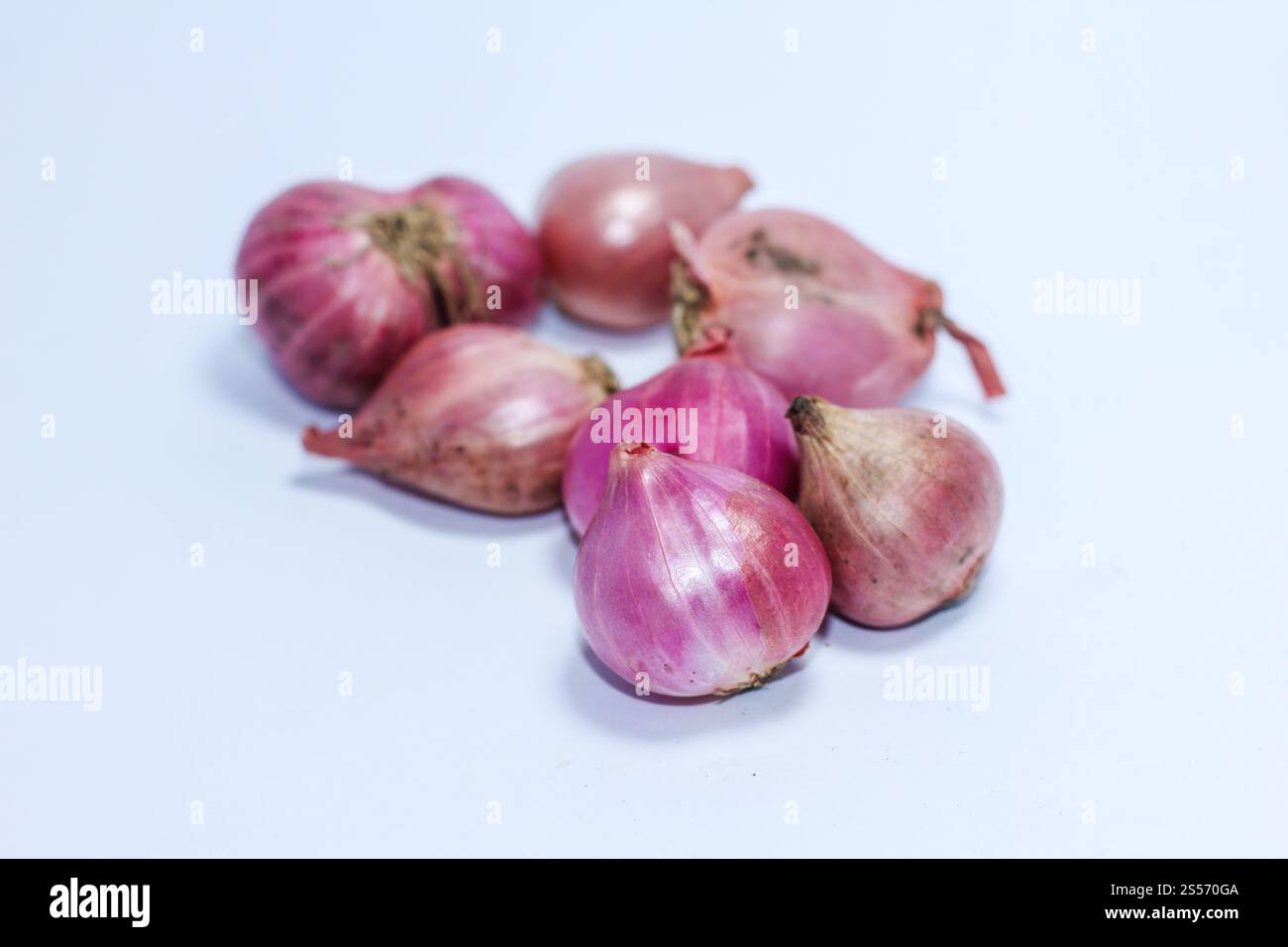 Rote Zwiebel isoliert auf weißem Hintergrund Stockfoto