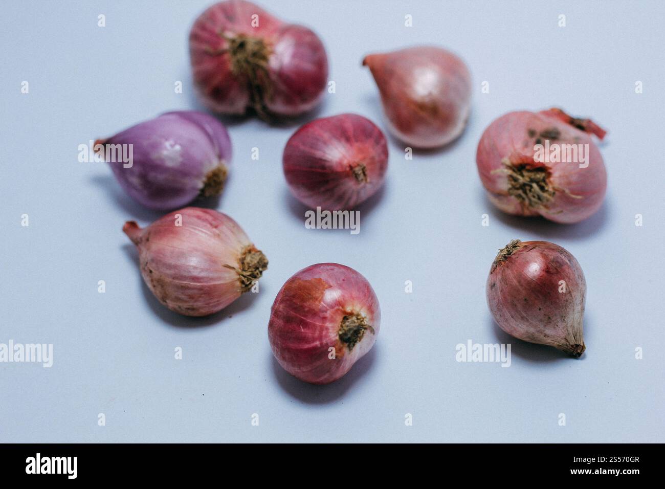 Rote Zwiebel isoliert auf weißem Hintergrund Stockfoto