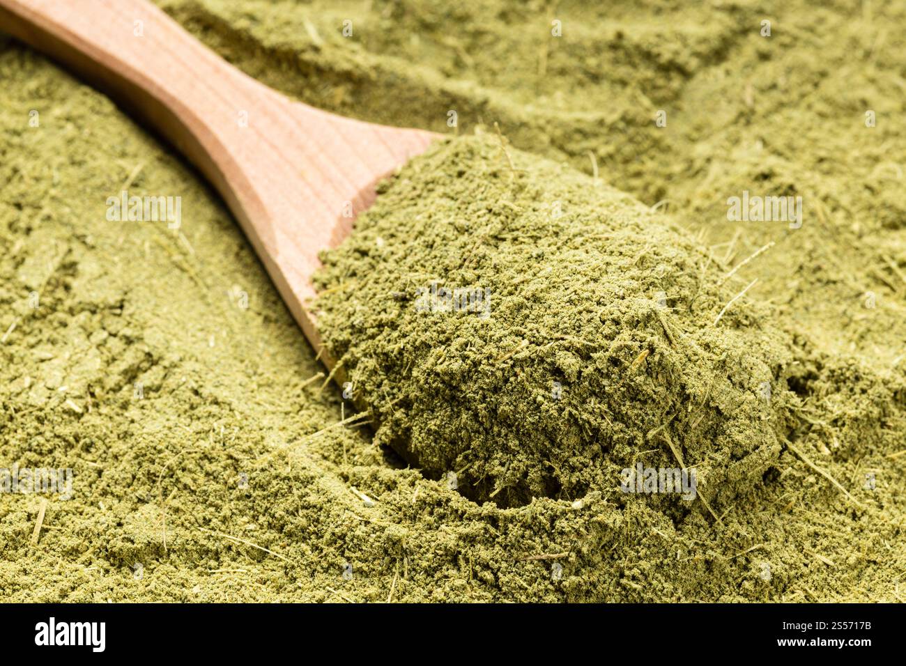 Holzlöffel mit gemahlenem Stevia rebaudiana Kraut (natürlicher Zuckerersatz) Nahaufnahme des Zuckerstapels Stockfoto