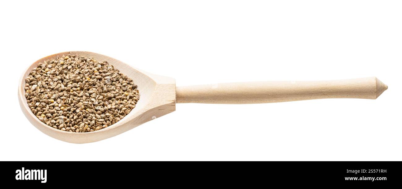 Vollkornhirse Hirsekörner in Holzlöffel isoliert auf weiß Hintergrund Stockfoto