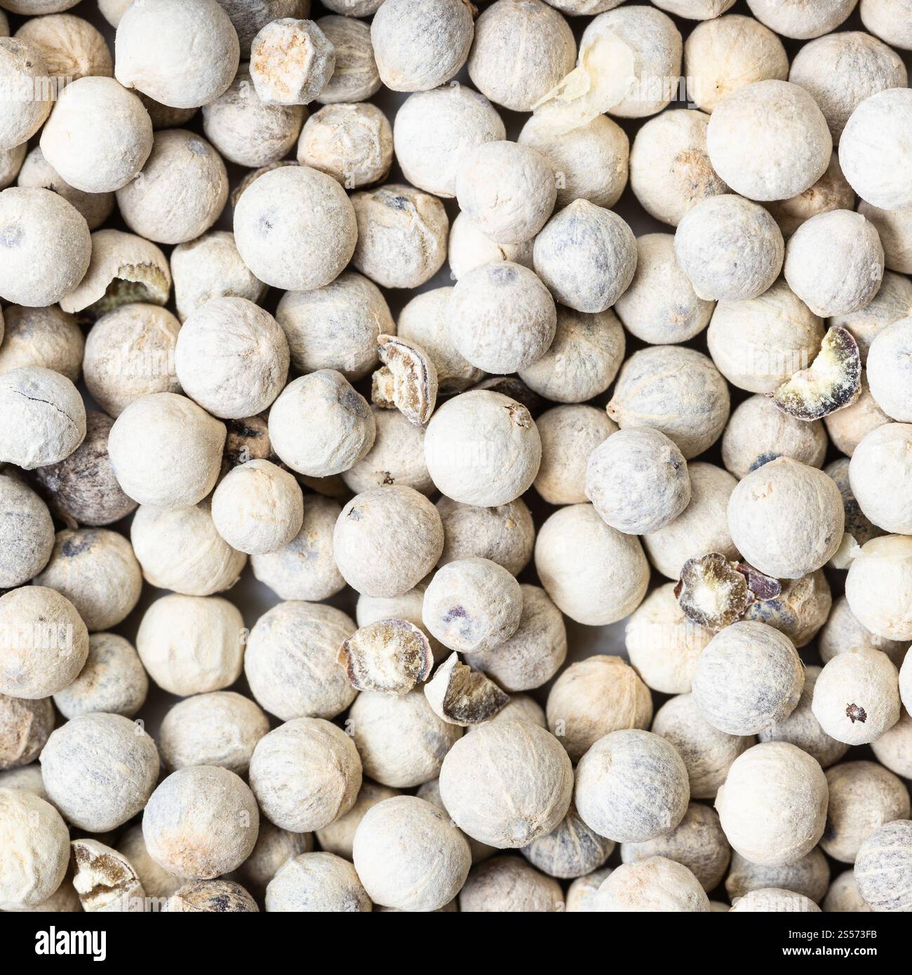 Quadratische Lebensmittel Hintergrund - weiße Pfeffer Pfefferkörner Nahaufnahme Stockfoto