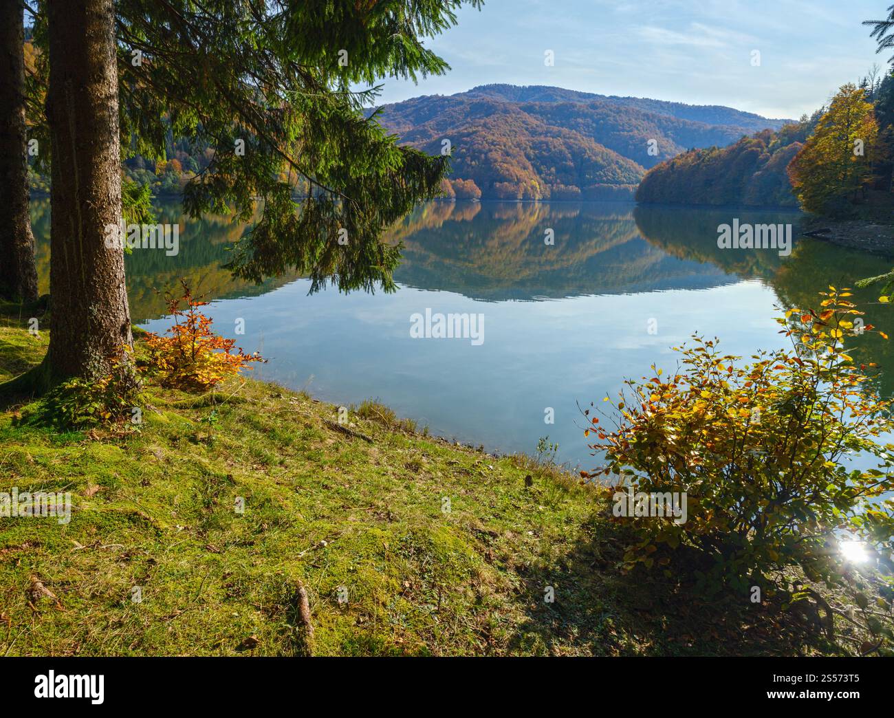 Waldwiese am Ufer des malerischen Sees. Vilshany Wasserreservoir am Tereblja Fluss, Transkarpatien, Ukraine. Wunderschöner Herbsttag Stockfoto