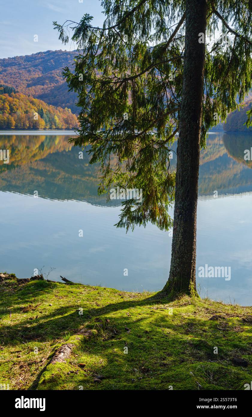 Waldwiese am Ufer des malerischen Sees. Vilshany Wasserreservoir am Tereblja Fluss, Transkarpatien, Ukraine. Wunderschöner Herbsttag Stockfoto