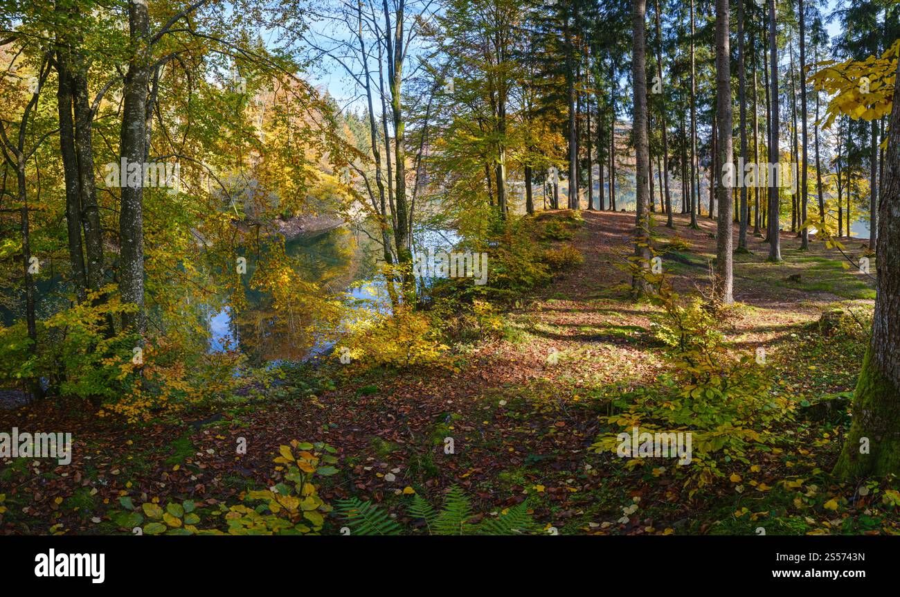Waldwiese am Ufer des malerischen Sees. Vilshany Wasserreservoir am Tereblja Fluss, Transkarpatien, Ukraine. Wunderschöner Herbsttag Stockfoto