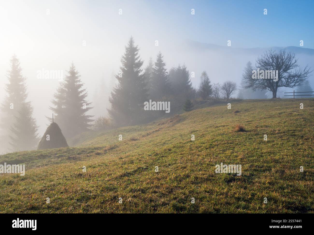 Neblige Herbstlandschaft mit Sonnenaufgang am Berg. Ruhige, malerische Reise, saisonale, Natur- und landschaftliche Beauty-Konzeptszene. Stockfoto