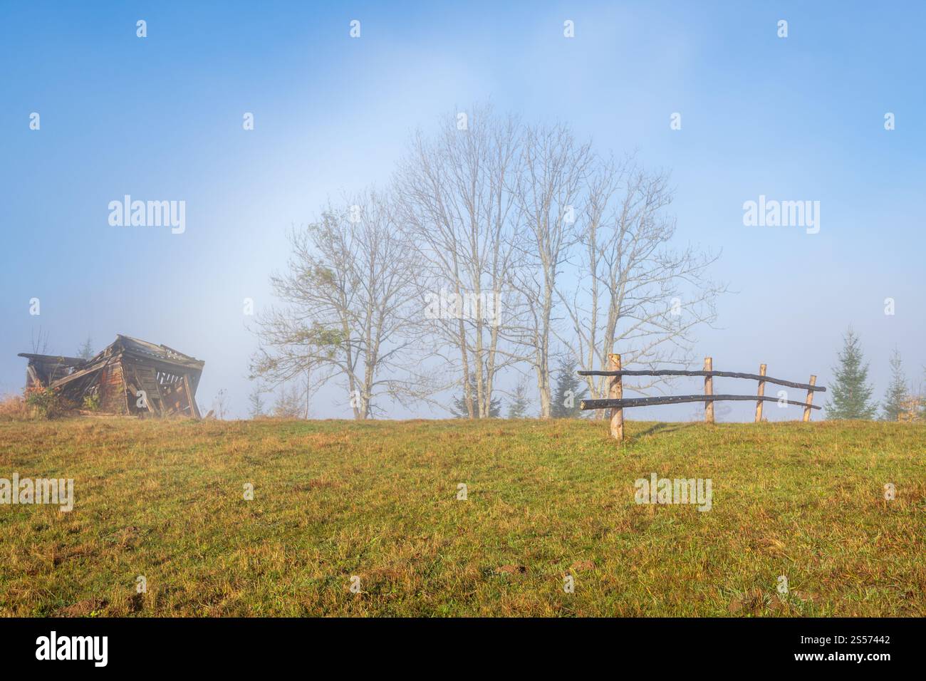 Neblige Herbstlandschaft mit Sonnenaufgang am Berg. Ruhige, malerische Reise, saisonale, Natur- und landschaftliche Beauty-Konzeptszene. Stockfoto