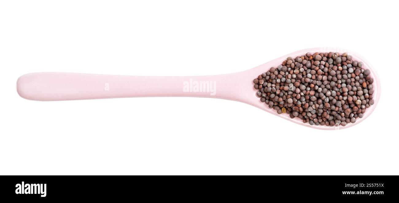 Draufsicht auf Keramiklöffel mit isolierten schwarzen Senfkörnern Auf weißem Hintergrund Stockfoto