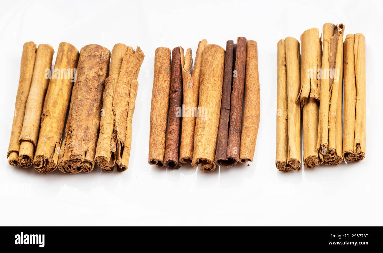 Verschiedene Zimtstangen (Alba Premium ceylon, chinesischer Cassia und kontinentaler ceylon-Zimt) auf weißem Teller Stockfoto