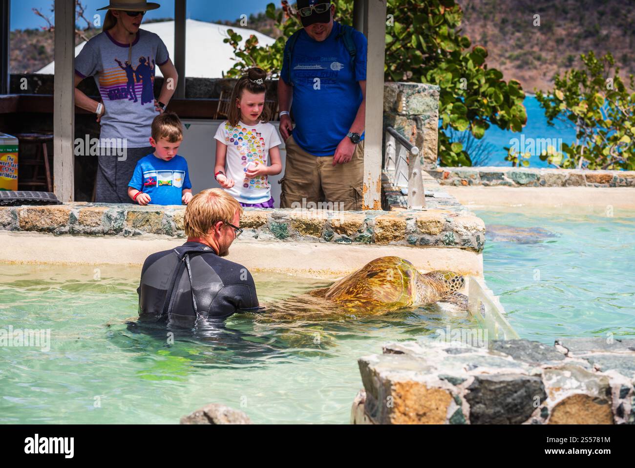 St. Thomas, USVI USA - 14. März 2018: Tierbegegnung mit Meeresschildkröten im Coral World Ocean Park. Stockfoto