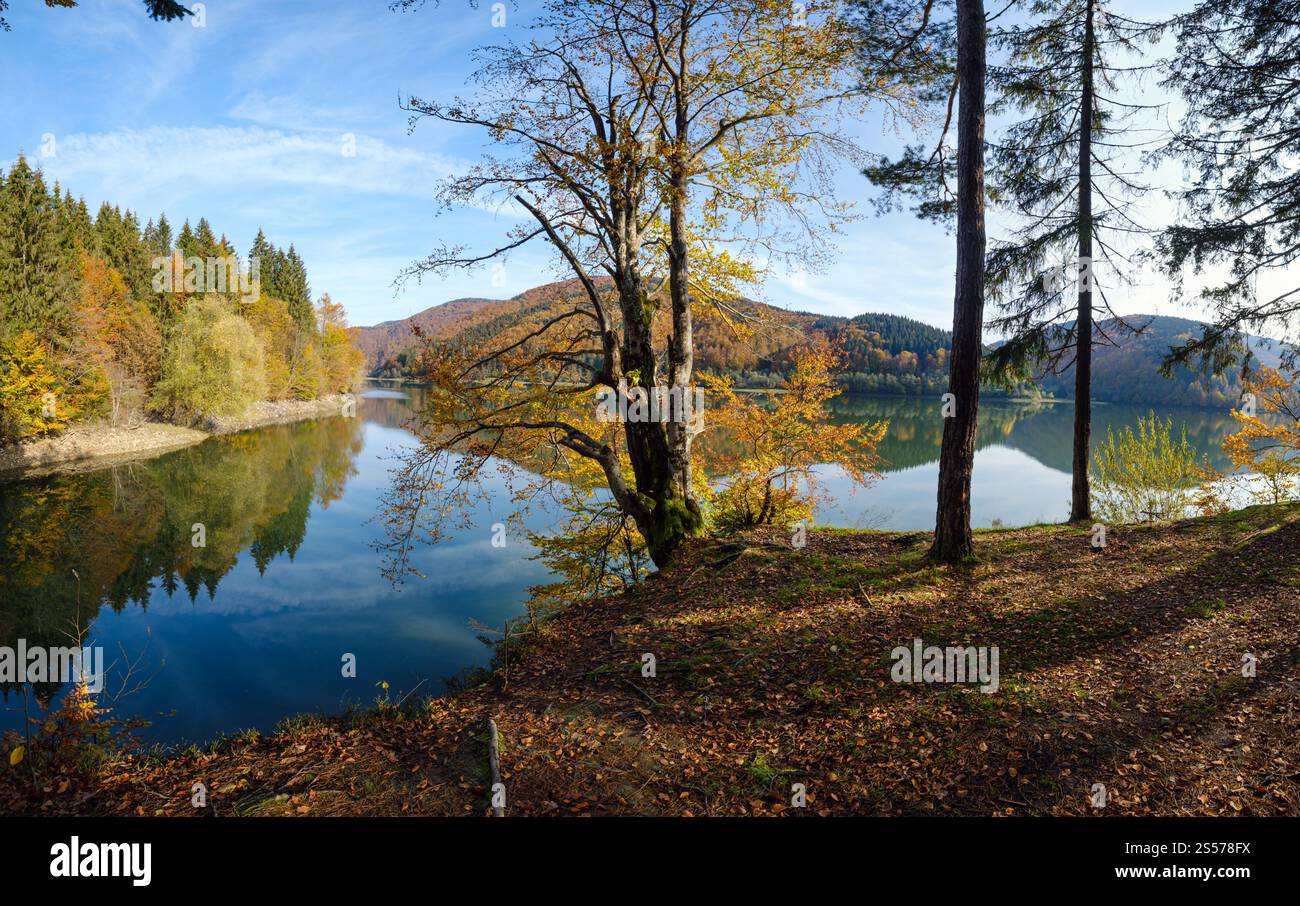 Waldwiese am Ufer des malerischen Sees. Vilshany Wasserreservoir am Tereblja Fluss, Transkarpatien, Ukraine. Wunderschöner Herbsttag Stockfoto