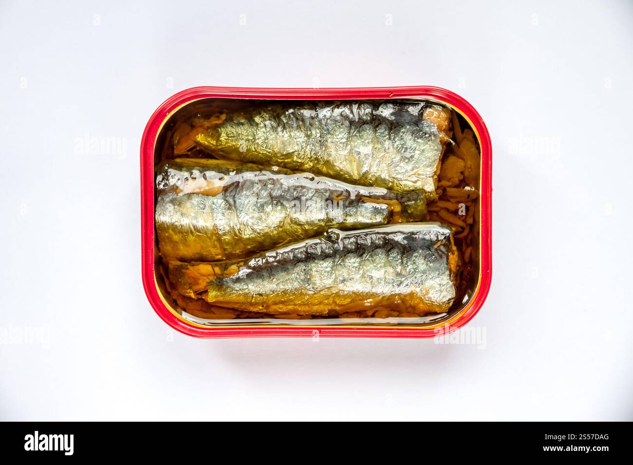 Sardinendose in Öl isoliert auf weißem Hintergrund. Sardinendose in Öl auf weißem Hintergrund Stockfoto