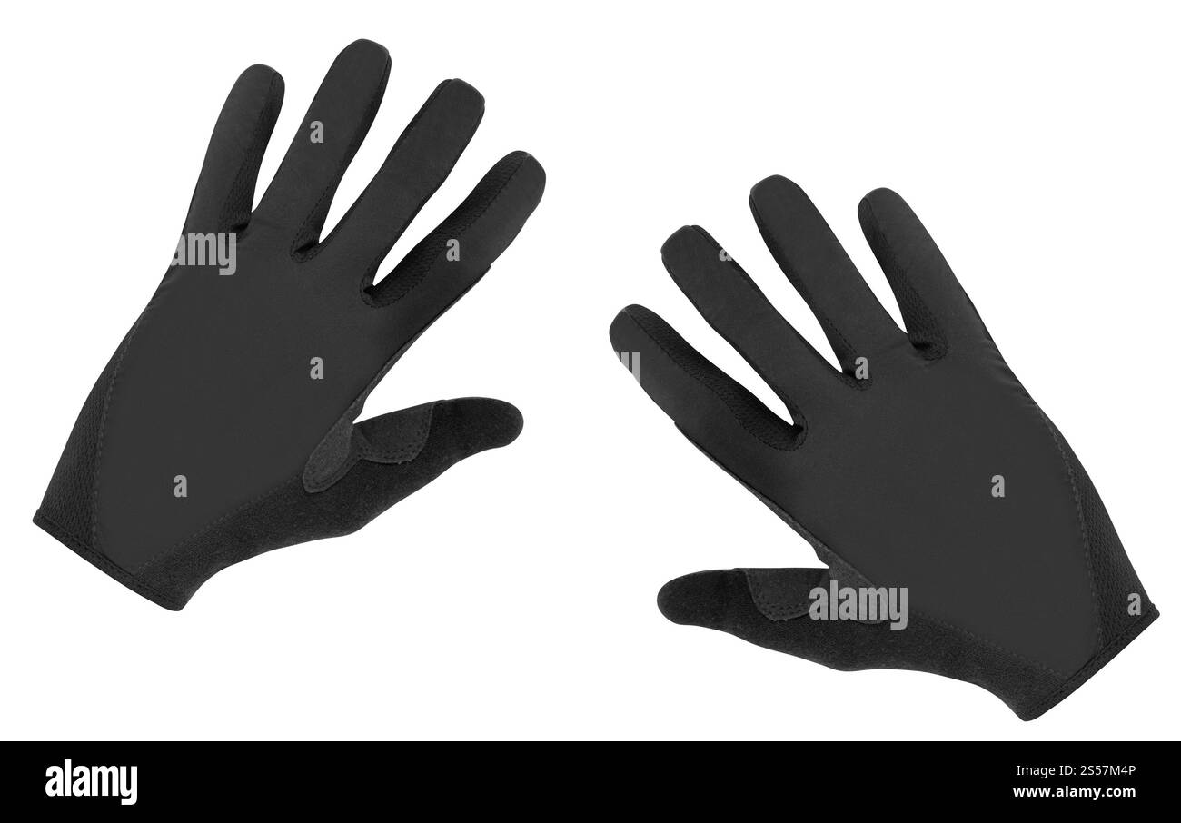 Sporthandschuh auf weißem Hintergrund. Sporthandschuh Stockfoto