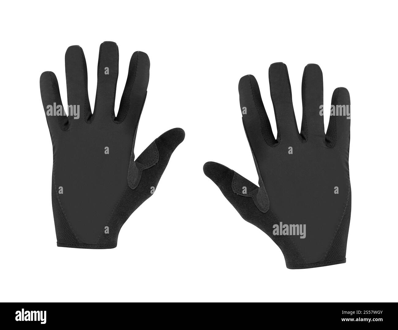 Sporthandschuh auf weißem Hintergrund. Sporthandschuh Stockfoto