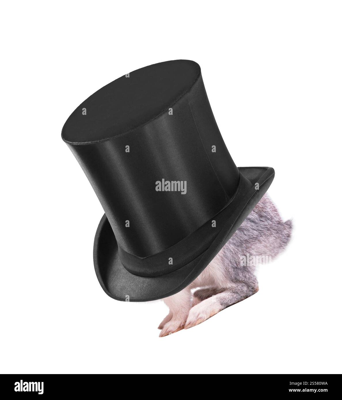 Kleines Häschen in einem Hut isoliert Stockfoto