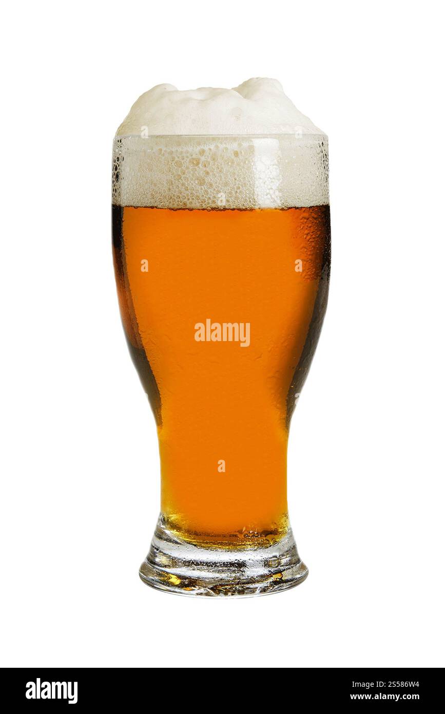 Glas Bier isoliert Stockfoto