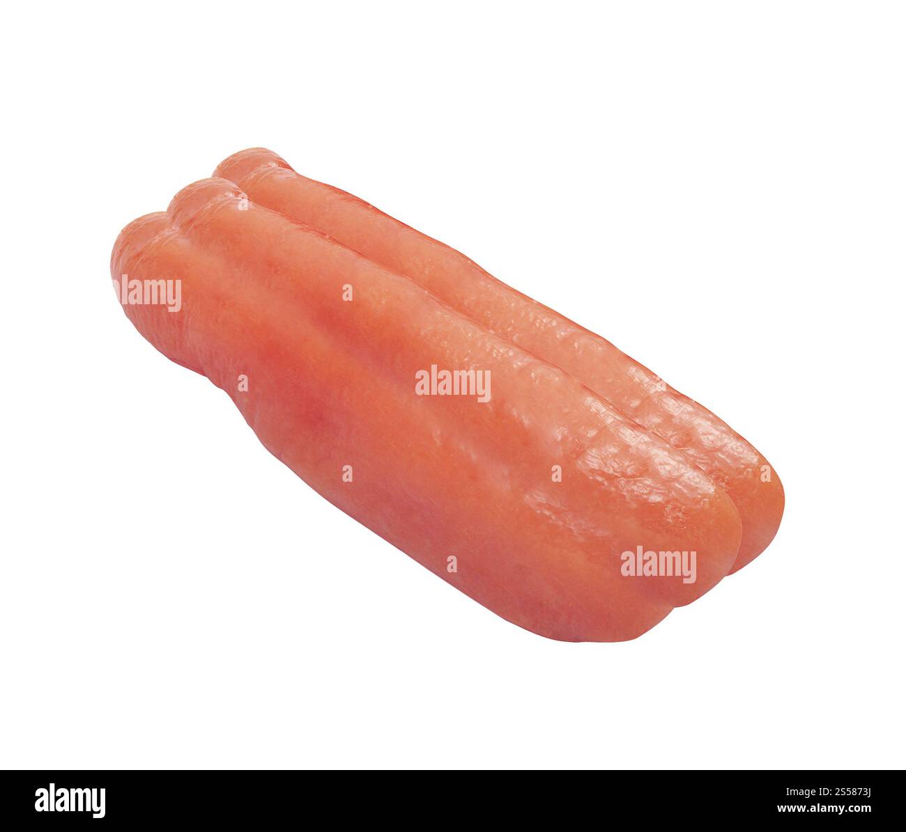 Roter Fisch auf weißem Hintergrund Stockfoto
