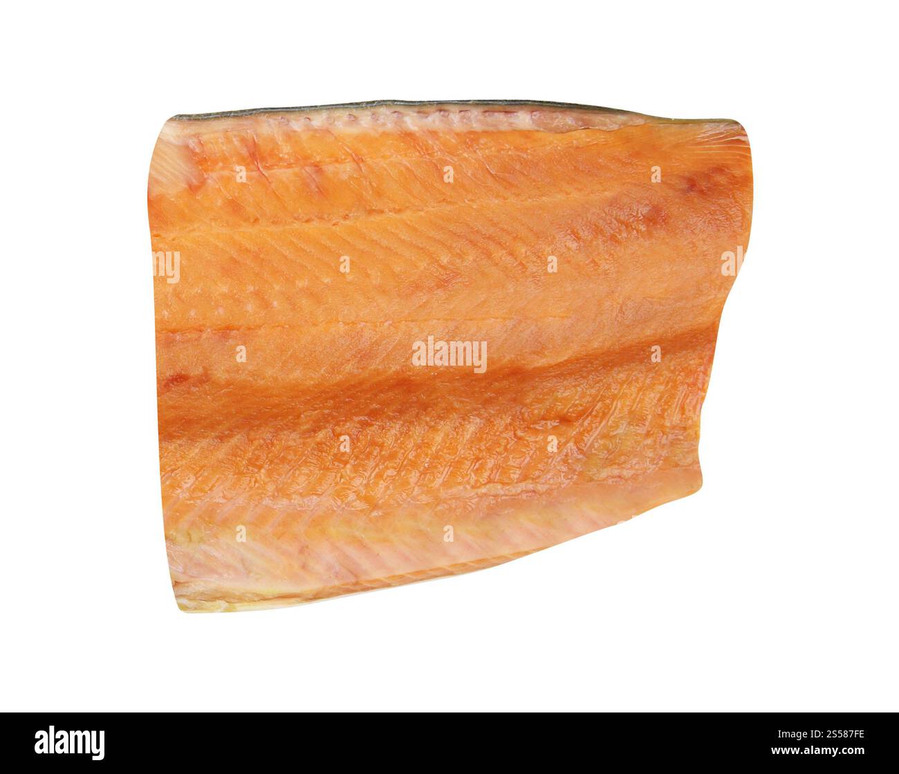 Frische Verrundung isoliert auf weißem Hintergrund Stockfoto