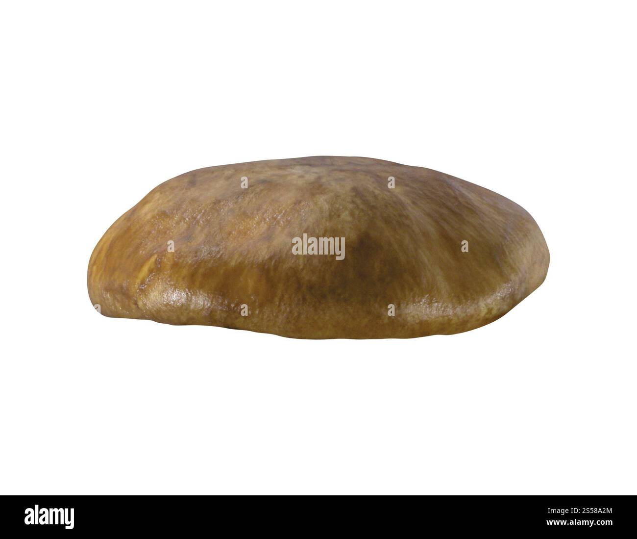 Essbare Pilze isoliert Stockfoto