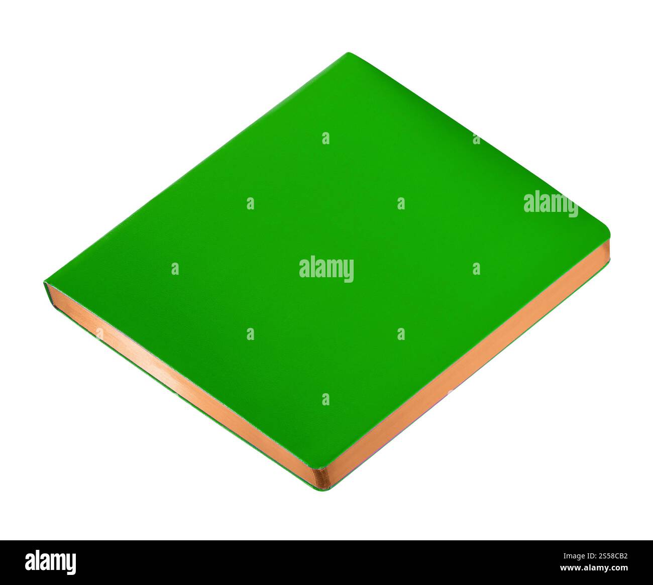 Grünes Buch isoliert Stockfoto
