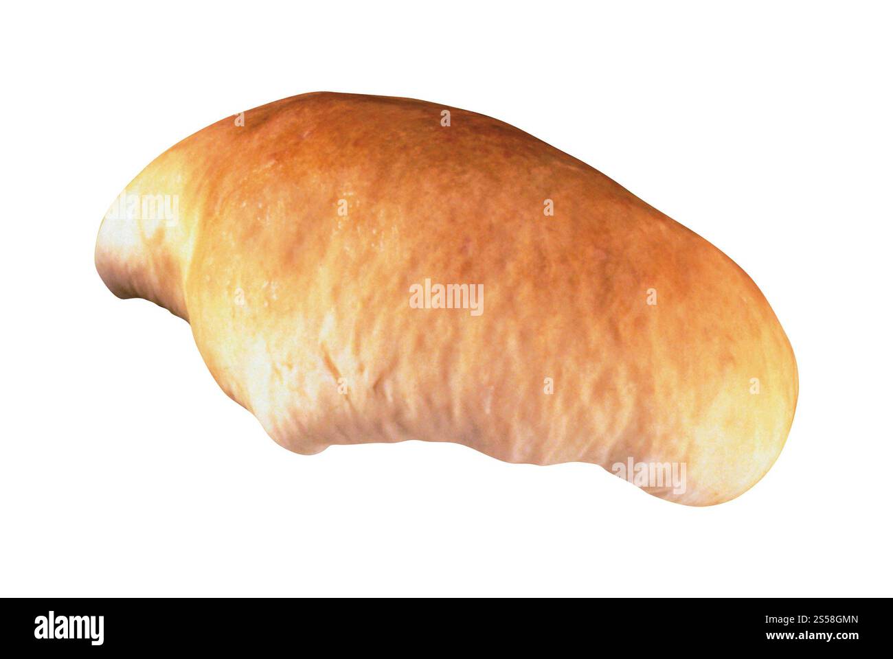 Ein Pilz isoliert auf weißem Hintergrund Stockfoto