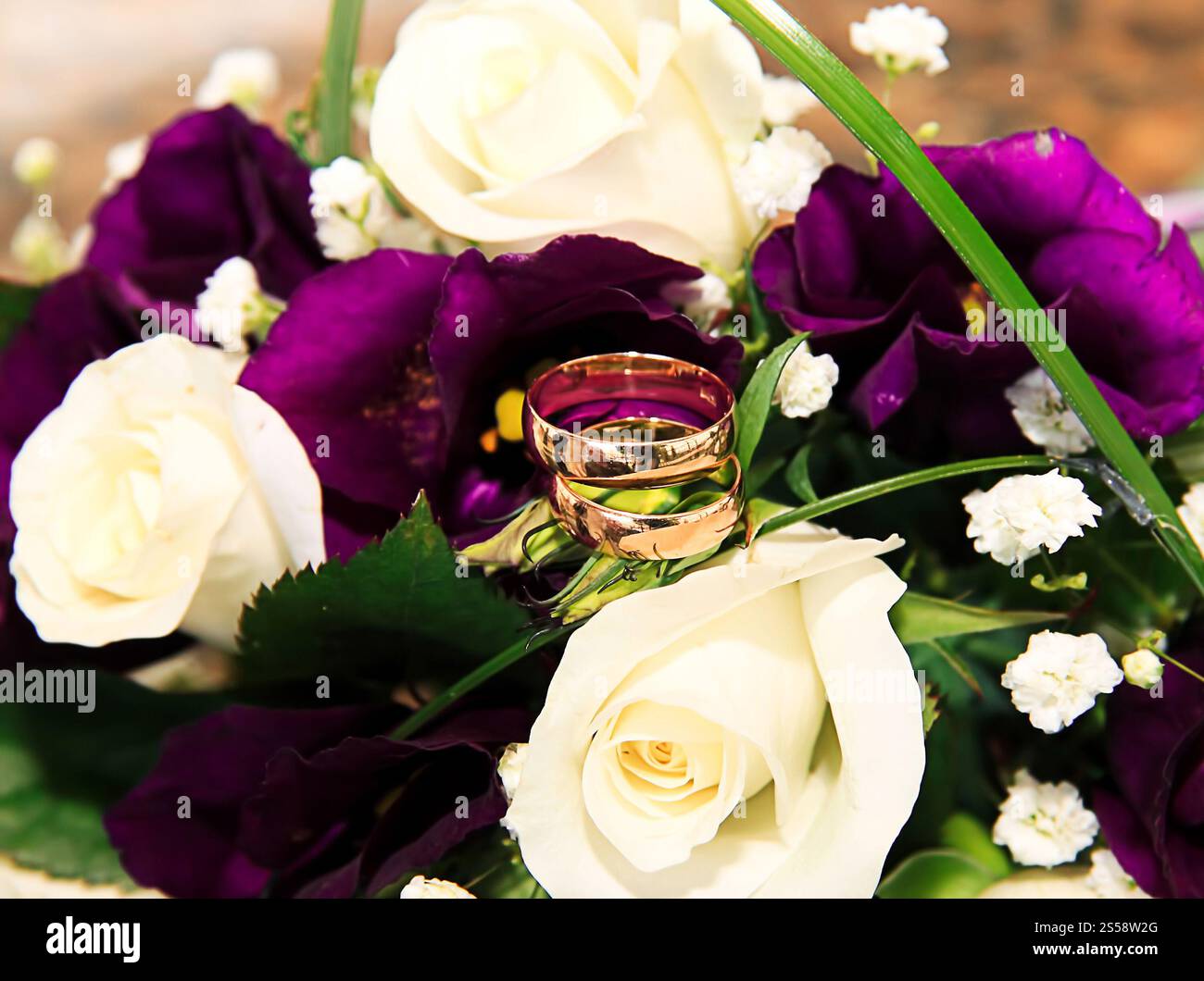 Hintergrund für Eheringe und Rosen. Eheringe und Rosen Stockfoto