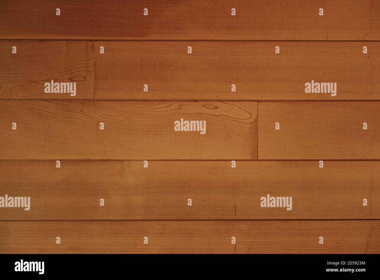 Hintergrund der alten Holzstruktur. Dreckige rustikale Holzkulisse. Hintergrund der alten Holzstruktur Stockfoto