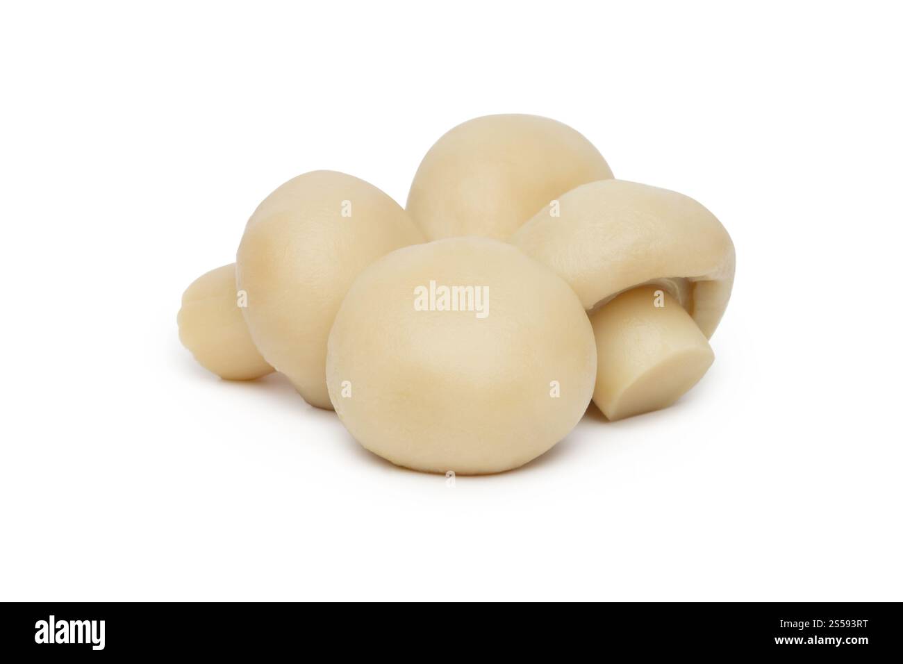 Marinierter Pilz, isoliert auf weißem Hintergrund. Marinierter Pilz isoliert auf weiß Stockfoto