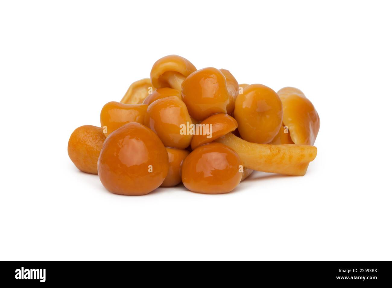 Marinierter Pilz, isoliert auf weißem Hintergrund. Marinierter Pilz isoliert auf weiß Stockfoto