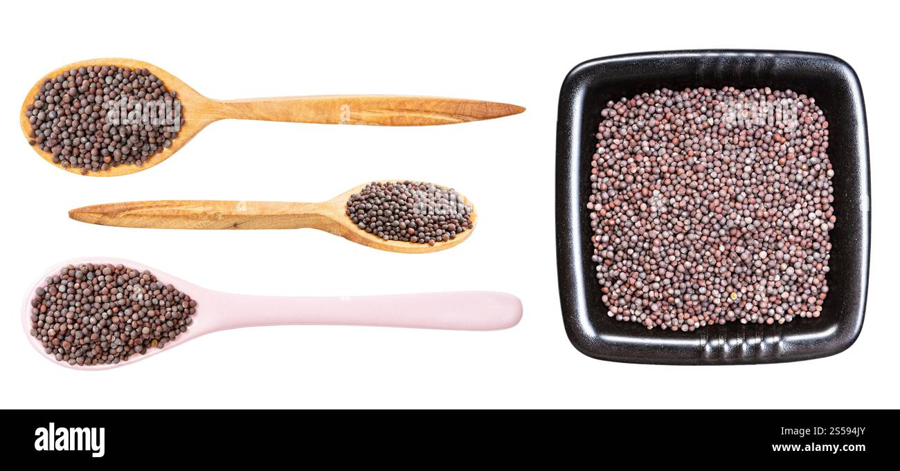 Set aus verschiedenen schwarzen Senfkörnern isoliert auf weißem Hintergrund Stockfoto