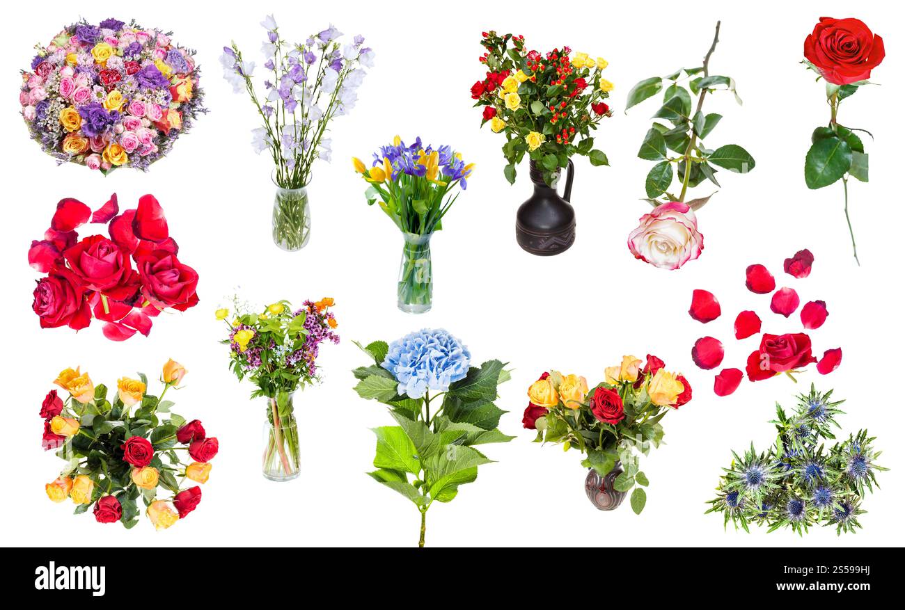Set von verschiedenen Blumen in Vasen und Singles isoliert auf weißem Hintergrund. Haufen gefallener Blütenblätter und Blüten roter Rose Stockfoto