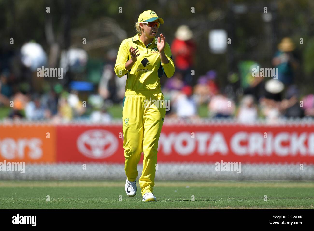 MELBOURNE AUSTRALIEN. Januar 2025. Im Bild: Phoebe Litchfield aus Australien applaudiert den Einsatz der australischen Cricket-Mannschaft während der Women's Ashes, Australia vs England, One Day International im CitiPower Centre, Junction Oval, Melbourne, Australien, am 14. Januar 2025 Credit: Karl Phillipson/Alamy Live News Stockfoto