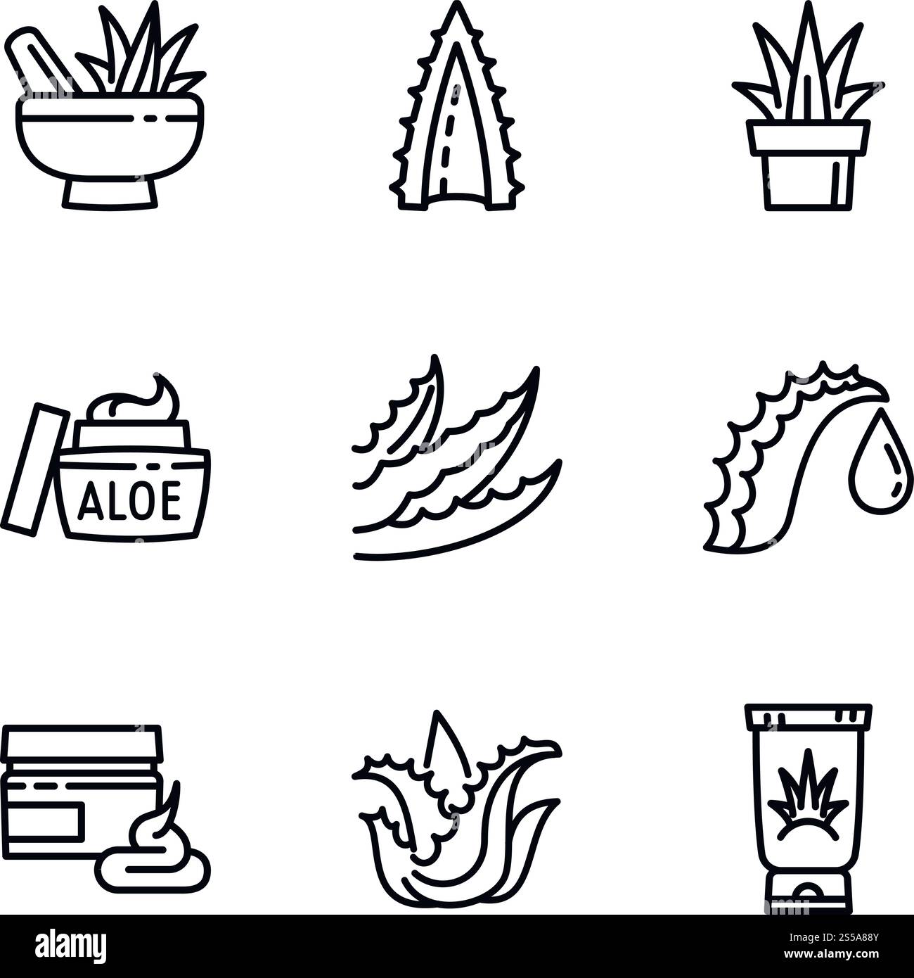 Aloe Vera Symbolsatz. Kontursatz von 9 Aloe Vera Vektorsymbolen für Webdesign isoliert auf weißem Hintergrund. Aloe Vera Symbolsatz, Umrissstil Stock Vektor
