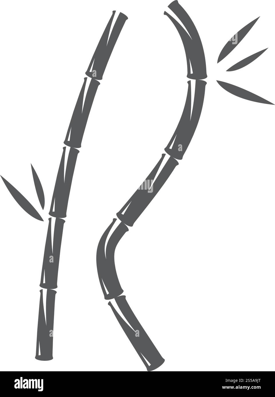 Bambus mit grünen Blättern für Ihr logo Symbol vektor Vorlage Stock Vektor