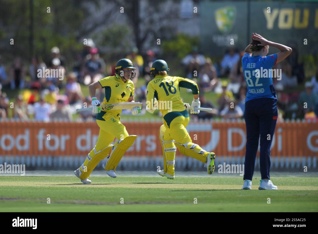MELBOURNE AUSTRALIEN. Januar 2025. Alyssa Healy of Australia (links) mit dem Schlagpartner Phoebe Litchfield (rechts), der am 14. Januar 2025 bei den Women's Ashes, Australia vs England, One Day International im CitiPower Centre, Junction Oval, Melbourne, Australien spielt. Credit: Karl Phillipson/Alamy Live News Stockfoto