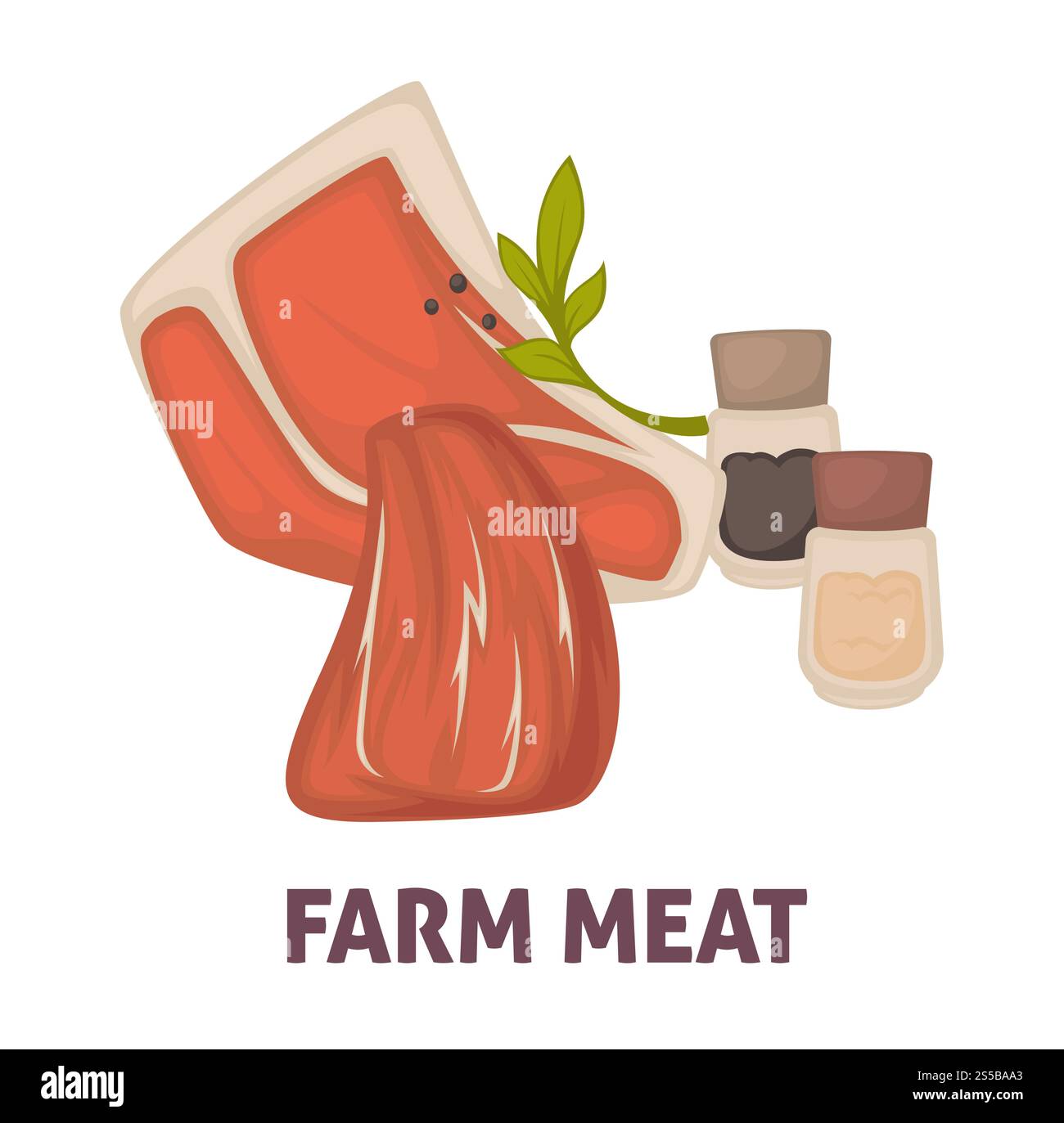 Werbeplakat für Fleisch mit Salz und Papier. Metzgerwaren von hoher Qualität mit Gewürzen und Grünpflanzen. Frisches Kalb und Schweinefleisch isolierte Karikatur flache Vektor-Illustration auf weißem Hintergrund. Werbeplakat für Fleisch mit Salz und Papier Stock Vektor