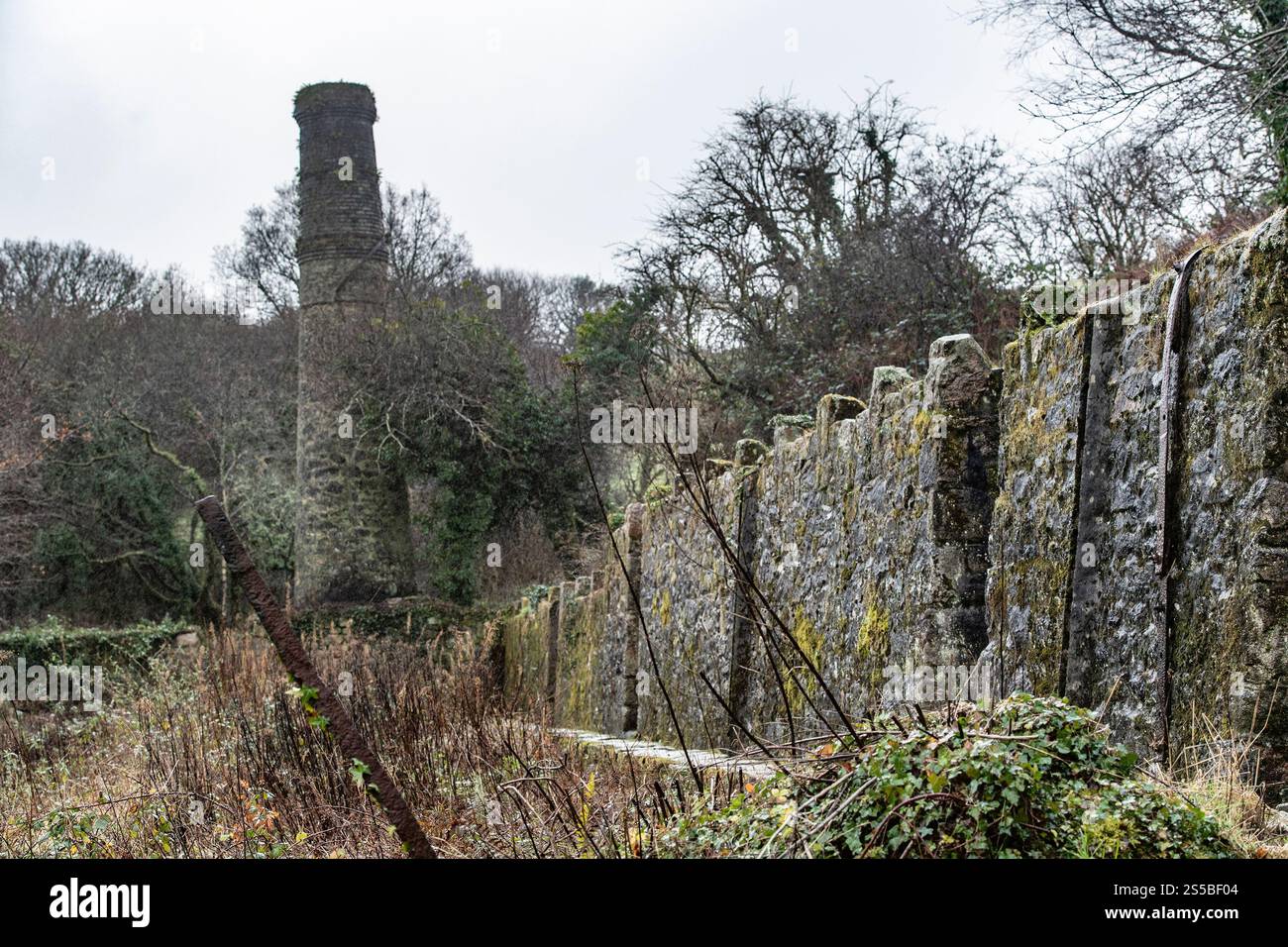 Wheal Arthur Mill im Tregargus Valley Heritage Industrial Area in Cornwall, Großbritannien Stockfoto